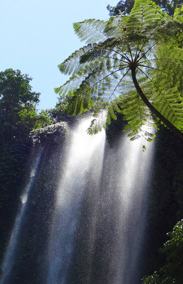 Bei einer Dschungelwanderung in den Bergen werden Sie die Schönheit eines der vielen Wasserfälle entdecken